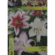  Lilium Mixed. Лилии микс.