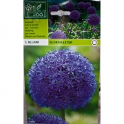 Аллиум Глоубмастер(Globemaster)