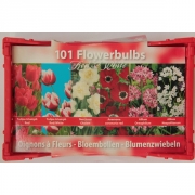 Цветущая клумба "101 луковица"