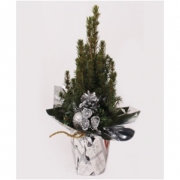 Ель Коника декорированная 9/30