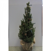 Ель Коника  с гирляндой и шишками 