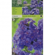 Флокс Blauw/bleu/blue
