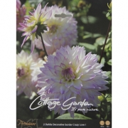 ГеоргинbDanlia Decorative border Crazy Love I