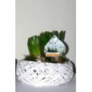 Гиацинты в круглой ивовой корзине