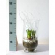 Гиацинты в украшенной вазе-подсвечнике