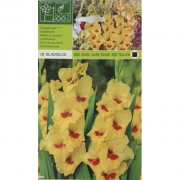 Гладиолус Geel rood/jaune rouge/red yellow