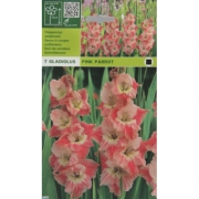 Гладиолус Pink parrot