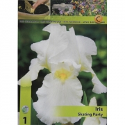 Ирис Skating Party