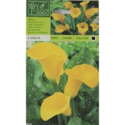 Калла Geel/jaune/yellow