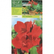 Канна The president