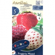 КЛУБНИКА MIX  5 шт.