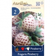 КЛУБНИКА WHITE PINEBERRY  2 шт.