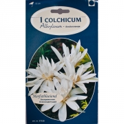 Колхикум Alboplenum
