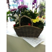 Композиция из цветов "Корзина с хризантемами"