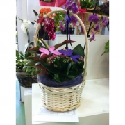 Композиция из цветов "Корзина с виноградом"