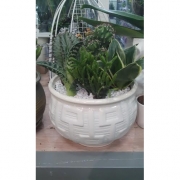 Композиция из кактусов и суккулентов №6