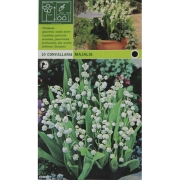 Ландыш Majalis