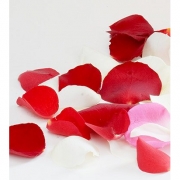 Лепестки роз.