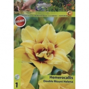 Лилейник Double Mount Helena