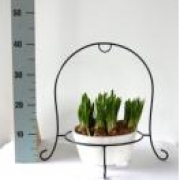 Мускари в деревянном кашпо с подставкой