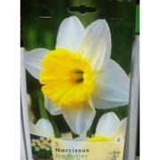 НАРЦИСС  ICE FOLLIES