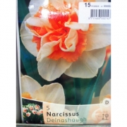 НАРЦИСС NARCISSUS DELNASHAUGH 