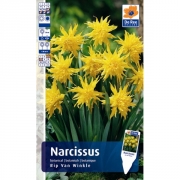 Нарциссы RIP VAN WINKLE
