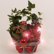 Новогодние композиции