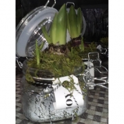 Новогодняя композиция "Гиацинт"