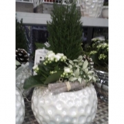 Новогодняя композиция "Кипарис с цветком"