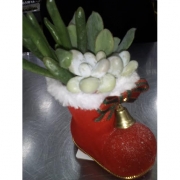 Новогодняя композиция "Сапожок"