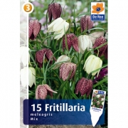 Рябчик MELEAGRIS