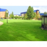 Травосмесь "Лужайка" 5кг