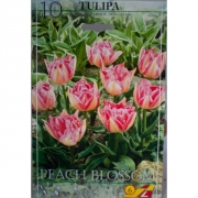 Тюльпан Пич Блоссом(Peach Blossom)