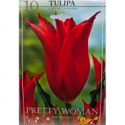 Тюльпан Притти Вумэн(Pretty Woman)